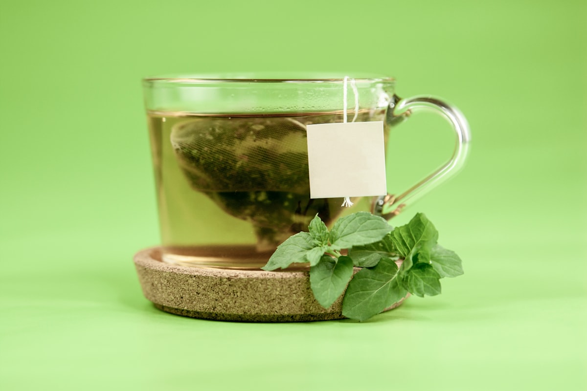 Cilantro fresco en manojo